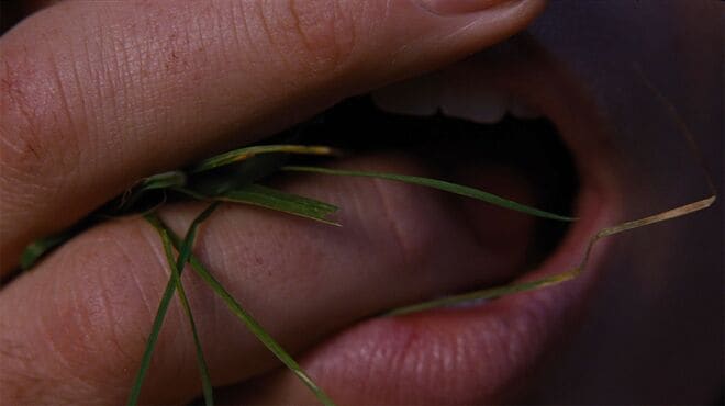 Hurlevent / Wuthering Heights